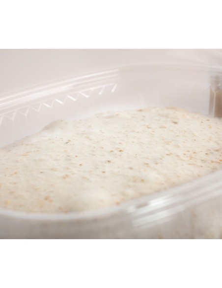 Pizza blanca